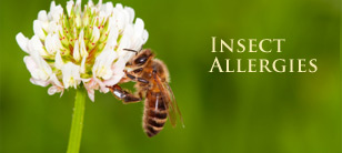 Insect Allergies